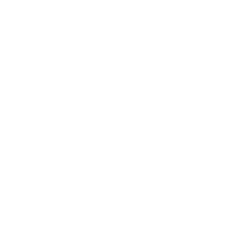 SM Import Diesel Icon